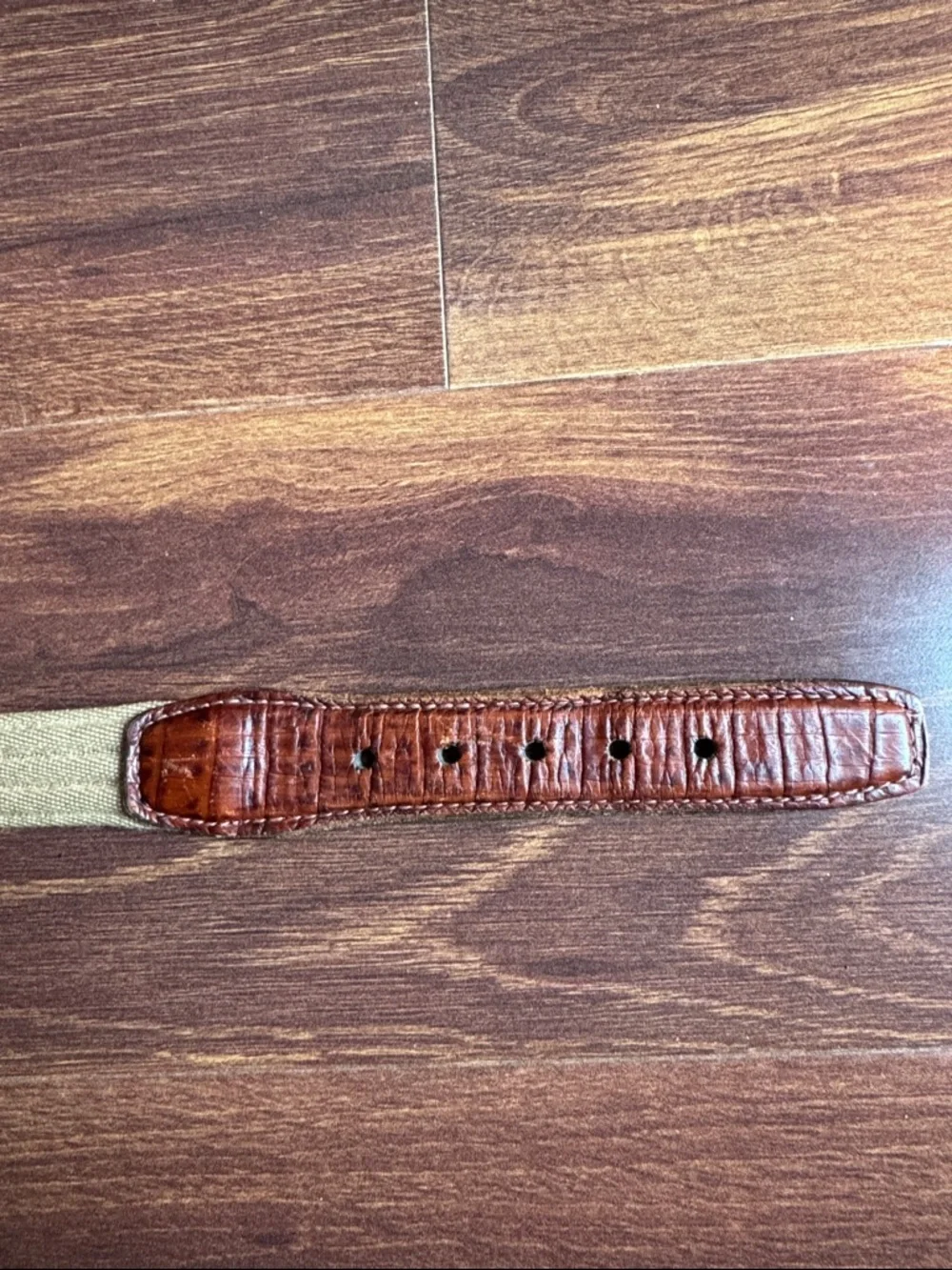 COLE HAAN Men's Cotton/Leather Belt Size 36